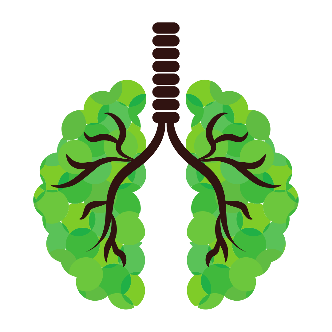 uma imagem em desenho em forma de pulmao, porém com as folhas de árvores e tronco